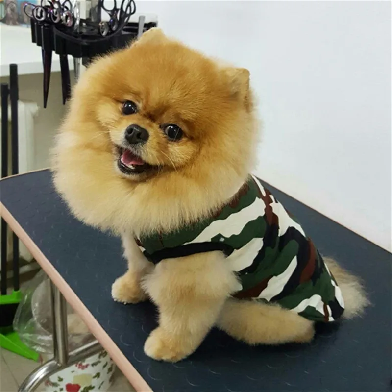 Winter Warm Pet Dog Clothes Letters Camouflage Reversible Coat Jacket For Small Medium Large Dogs Warm Cotton Pet Vest Clothing  19