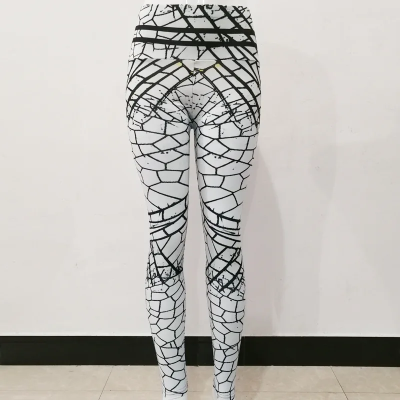 10323395926_1595654483