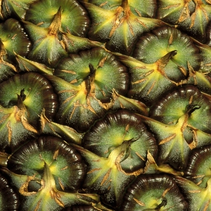 Close-Up Of Pineapple Skin With Beautiful Texture Poster Print (11 x 17)
