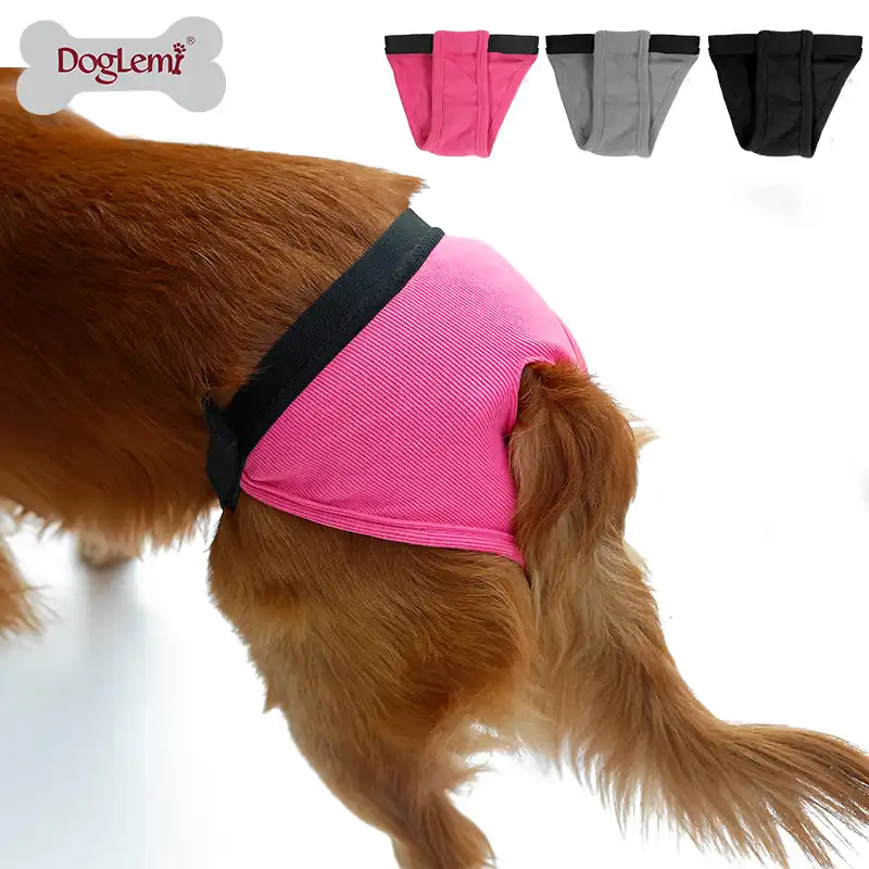 female dog panties