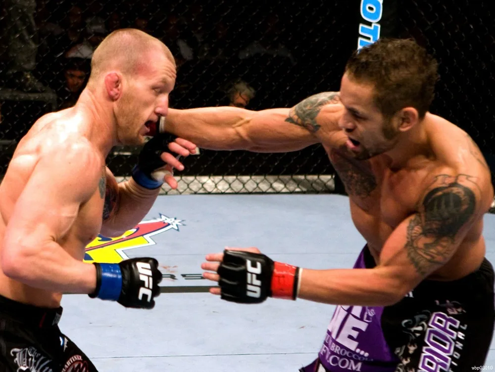 

Gray Maynard vs Clementi Martial Art Huge canvas Poster TXHOME D5456