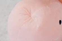HTB1yIxjSFXXXXbyXpXXq6xXFXXXh