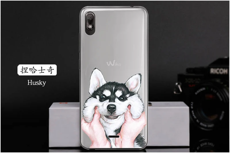 Coque Wiko View 2 go cases (19)