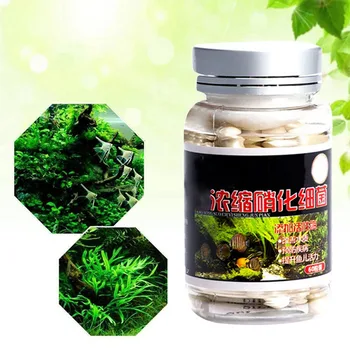 

Aquarium Nitrobacteria Capsule for Water Treatment Bio-Nitrobacteria Capsule Fish Tank Pond Cleaning Water Supplies 60pcs