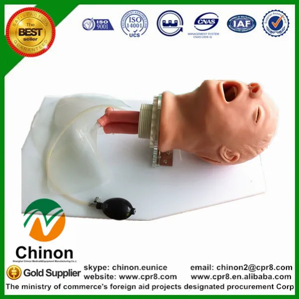 BIX-J50 Medical Skill Practice Classic Simulate Airway Intubation Training Manikin W055 BIX-J50 Medical Skill Practice Classic Simulate Airway Intubation Training Manikin W055