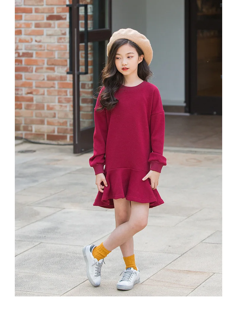ruffles autumn winter dresses for big girls cotton long sleeve fleece dress baby kids clothes children casual school clothing (23)