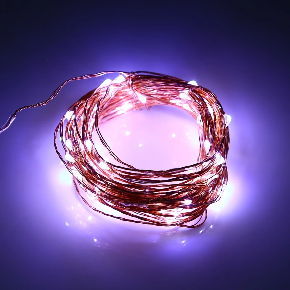 10M 6V 100 LEDs Copper Wire LED String Lights Christmas Outdoor