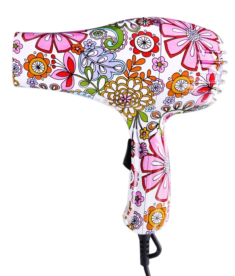 European Professhional New Flower Print Girls Women 850W Hot Cold Wind