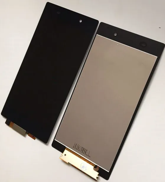 z1001