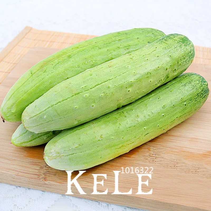 

Spring Autumn Cucumber flores Courtyard Garden Potted Bonsai Vegetable Plants Cucumis plantas,50 Pcs/lot, #RBNA3P