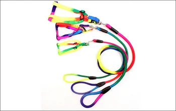 

by dhl 50pcs Nylon Adjustable Training Lead Pet Dog Leash Dog Strap Rope Traction Dog Harness Collar Lead