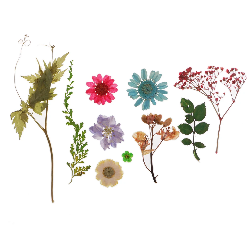 Pack Of Natural Dried Flower Real Flower Mixed For DIY Resin Ornament Craft Card Making Scrapbooking Embellishment Floral Design
