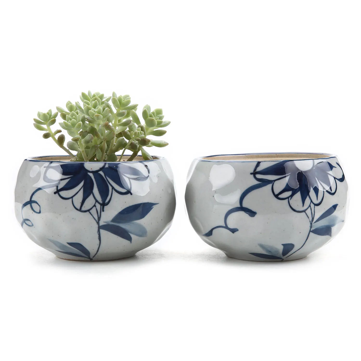 

T4U 4.25 Inch Ceramic Japanese Style Clay Serial Daisy succulent Cactus Plant Pot Flower Pot Container Planter 1 Pack of 2