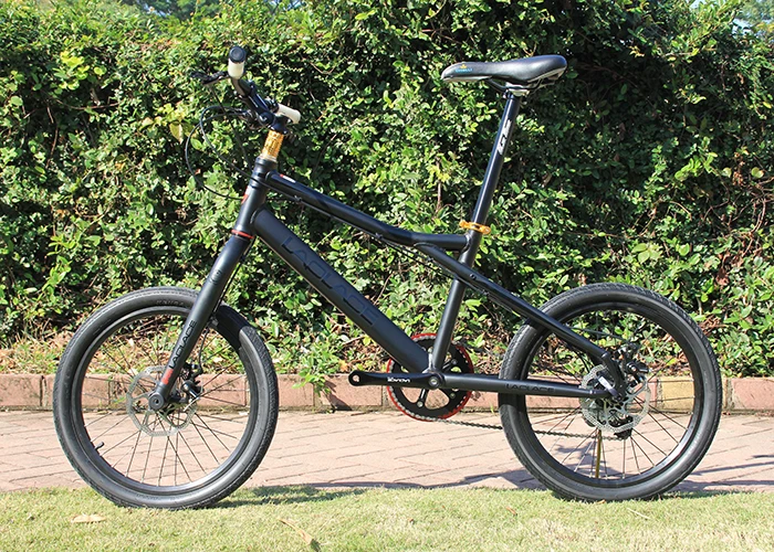 LAPLACE Однорычажный велосипед LEFTY Bicylce горный Сверхлегкий 20 дюймов MTB рама costelo