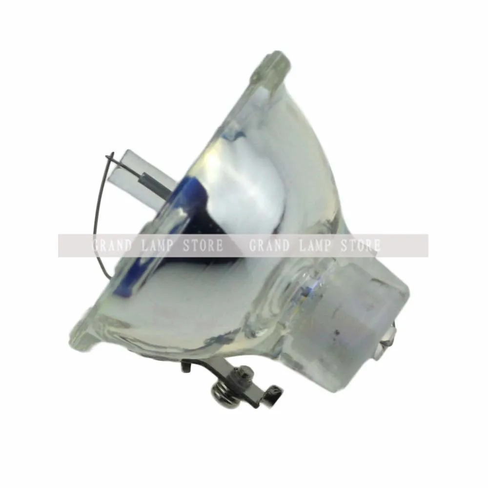 SP-LAMP-003-2
