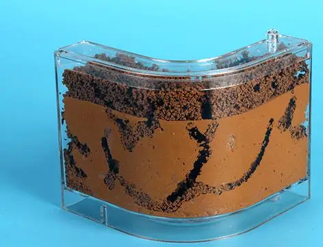 professional-ant-nest (7)