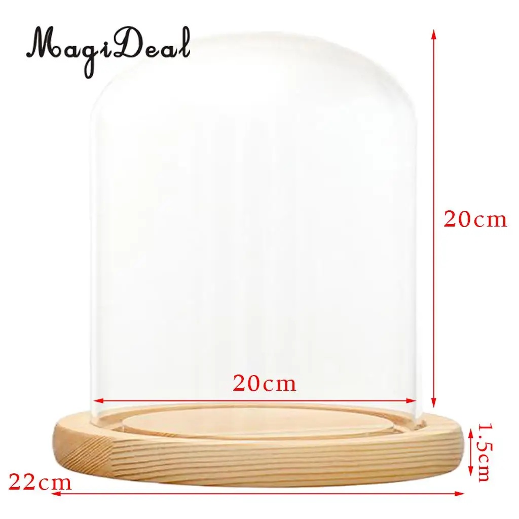 MagiDeal 	DIY Clear Glass Hemisphere Dislay Dome Cover Shade Cloche Oval With Cork Garden Decor Succulent Plants Vase Container