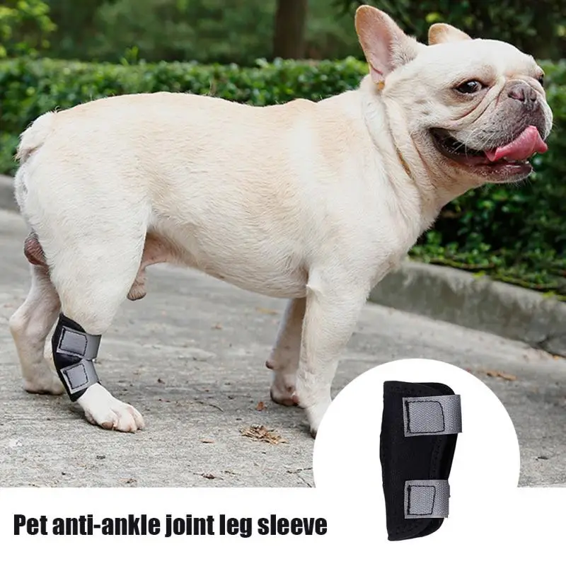 1 шт., новые наколенники для домашних животных, поддерживающие фиксаторы для собак на заднюю ногу, фиксирующие суставы, дышащие, для восстановления травм, для ног, защита для собак, поддержка