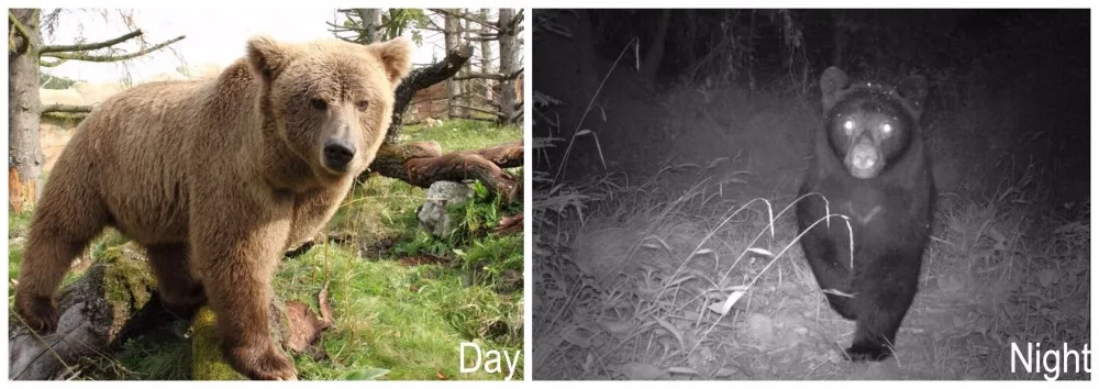 Hunting Camera photo trap (6)