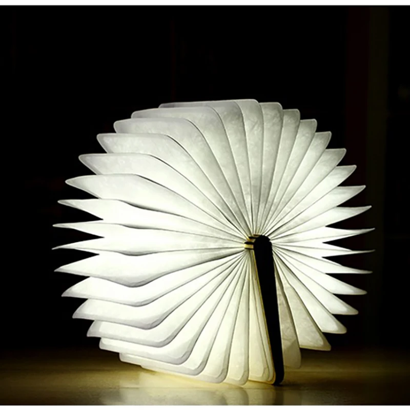 book lamp (21)
