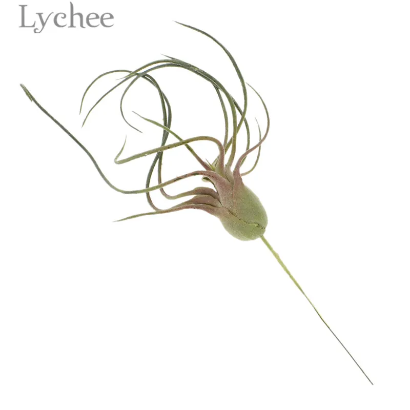 Lychee пластиковое искусственное Airplant tillandasia Capitata декоративное искусственное суккулентное растение товары для украшения дома