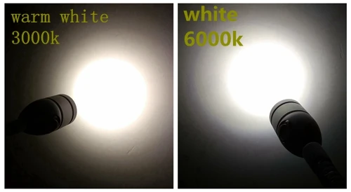 24 volt flexible led reading light