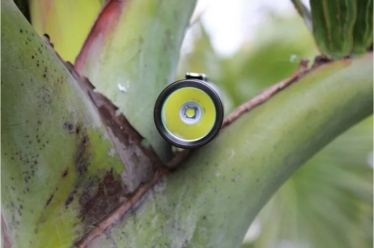 led flashlight (12)