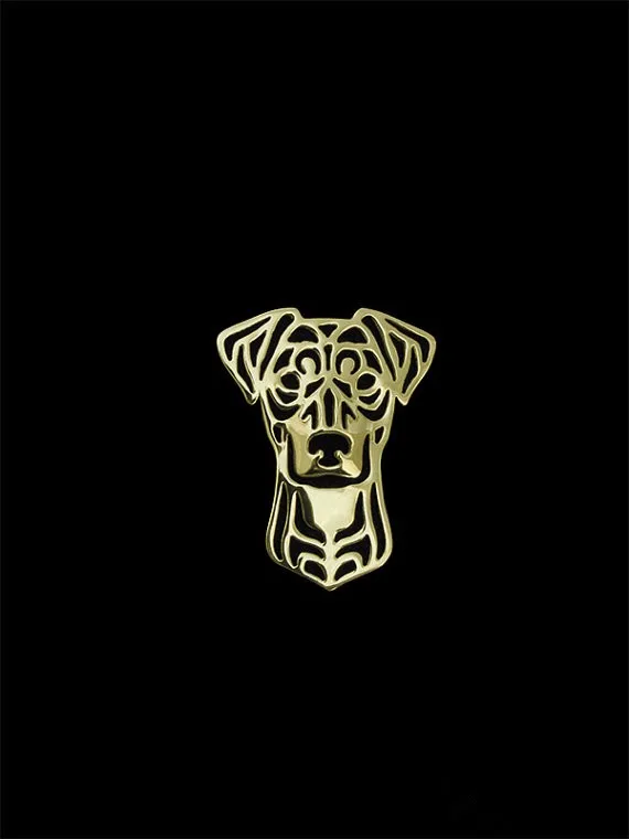 German Pinscher1