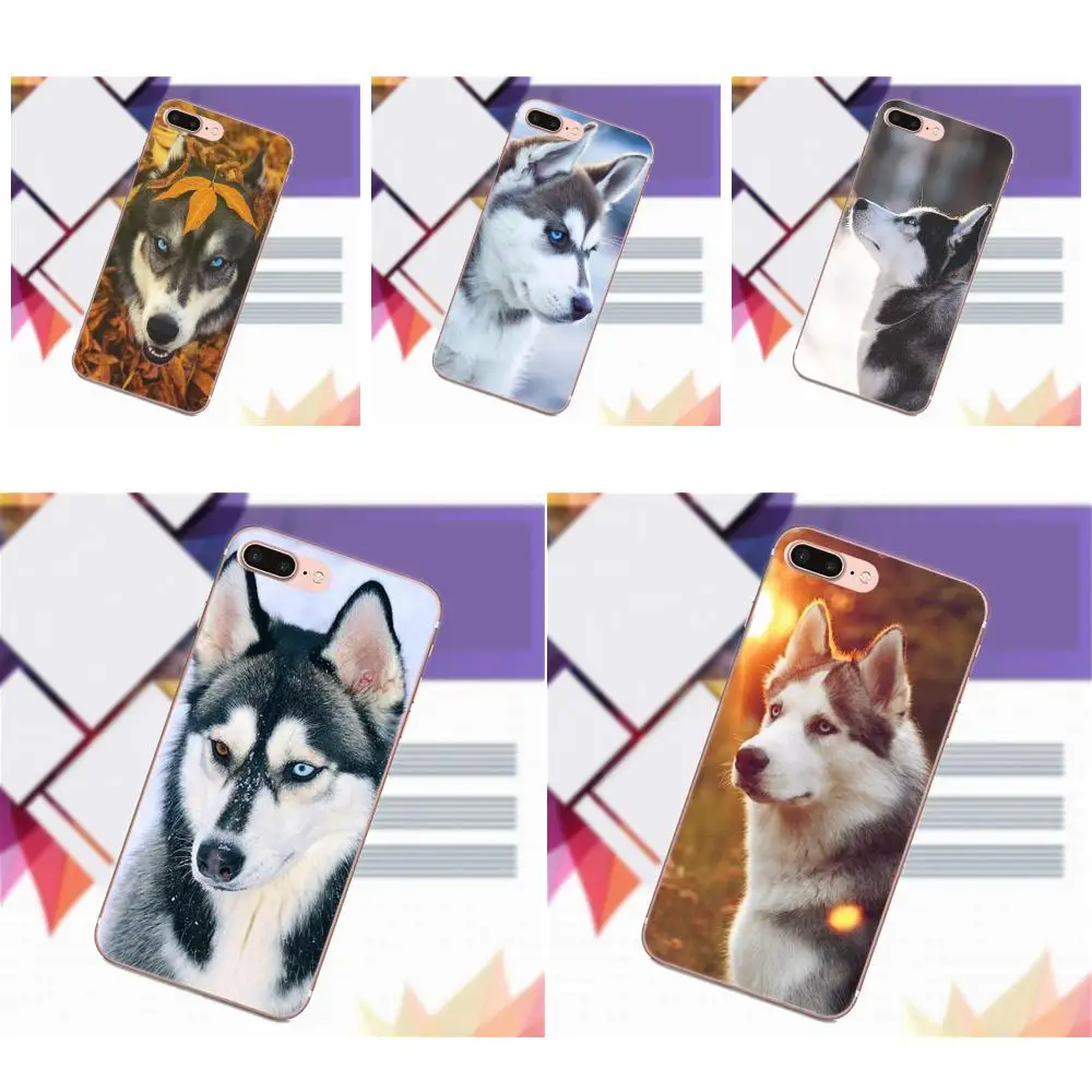 

Vvcqod New Siberian Husky TPU Custom Phone For LG G2 G3 mini spirit G4 G5 G6 K4 K7 K8 K10 2017 V10 V20 V30