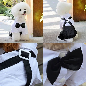 Bow tie Costume For Dogs