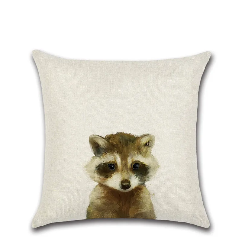 Raccoon