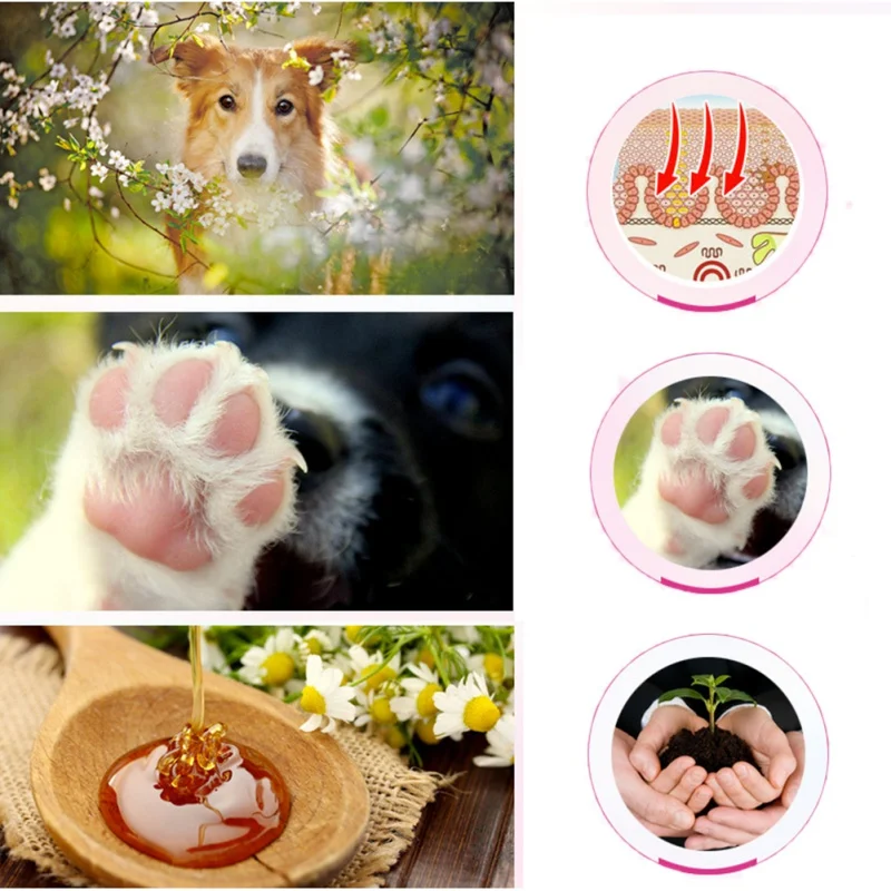 

Pet Paw Care Creams Puppy Dog Cat Paw Anti-cracking Care cream Moisturizing Protection Forefoot Toe Safety Health Pet Products