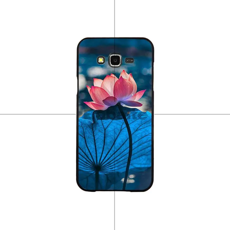 Flower Lotus Tulip