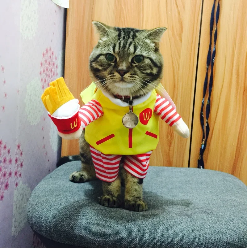New 2016!Free shipping so funny Pet cat clothes dog clothing Dress