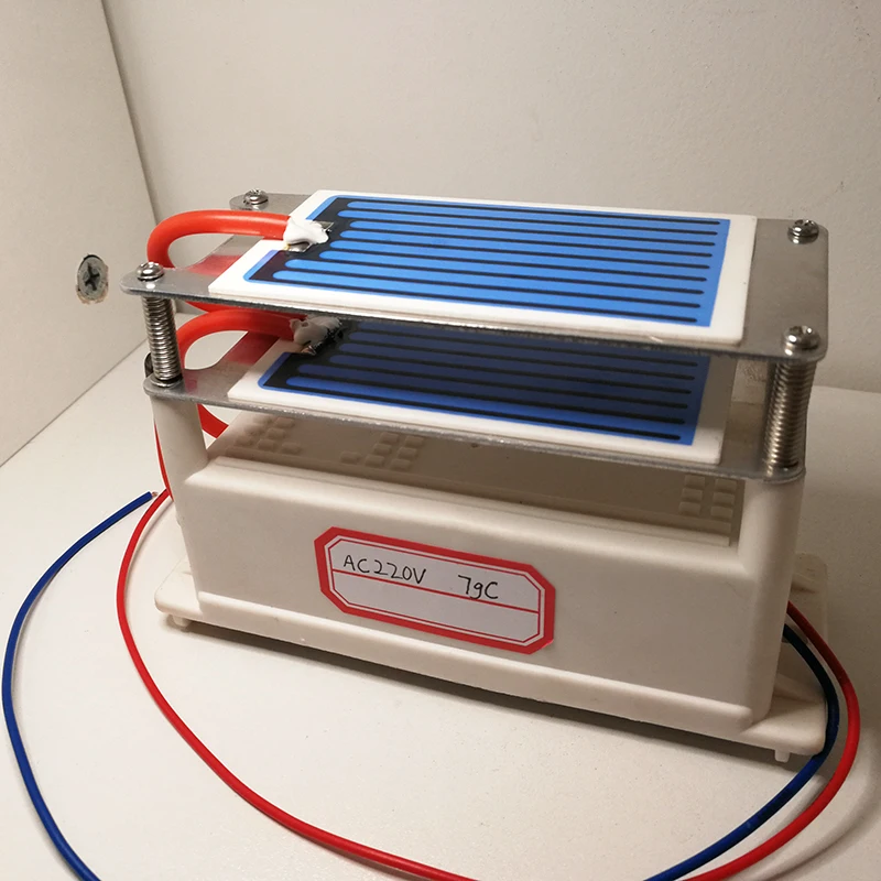 Ceramic Ozone Generator 220V/12V 7g Ozonizer with Ceramic