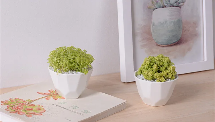 

Great Idea For Small Plants! White Ceramic Geometric shape Flower Pot,Table Small Flowerpot Green Planter Office Home Decoration