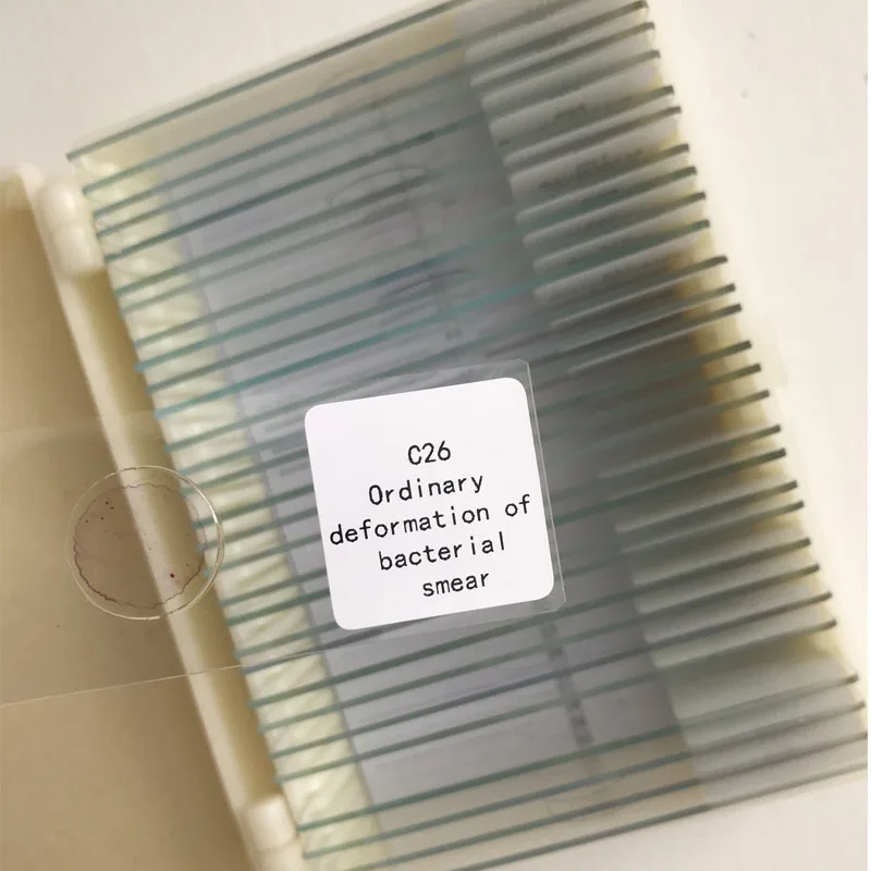

30 kinds Lab accessories microbiology teaching microbiology bacteria prepared slides