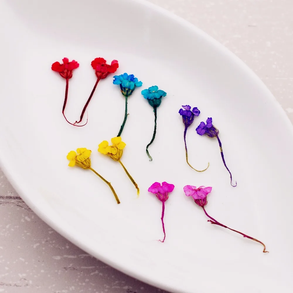 

24pieces 7mm Yarrow Natural Dried Flowers Pressed Herbarium Flower Decorative Crafts filler jewelry findings