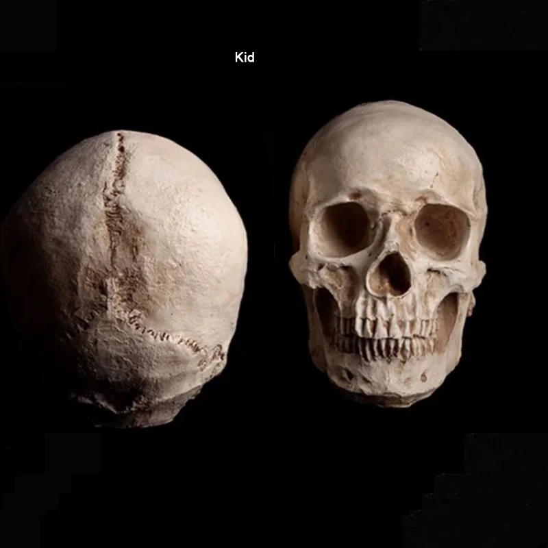1pc scary halloween skull decoration halloween props decoration haunted housechina mainland - Scary Halloween Props 1pc scary halloween skull decoration halloween props decoration haunted housechina mainland - Scary Halloween Props
