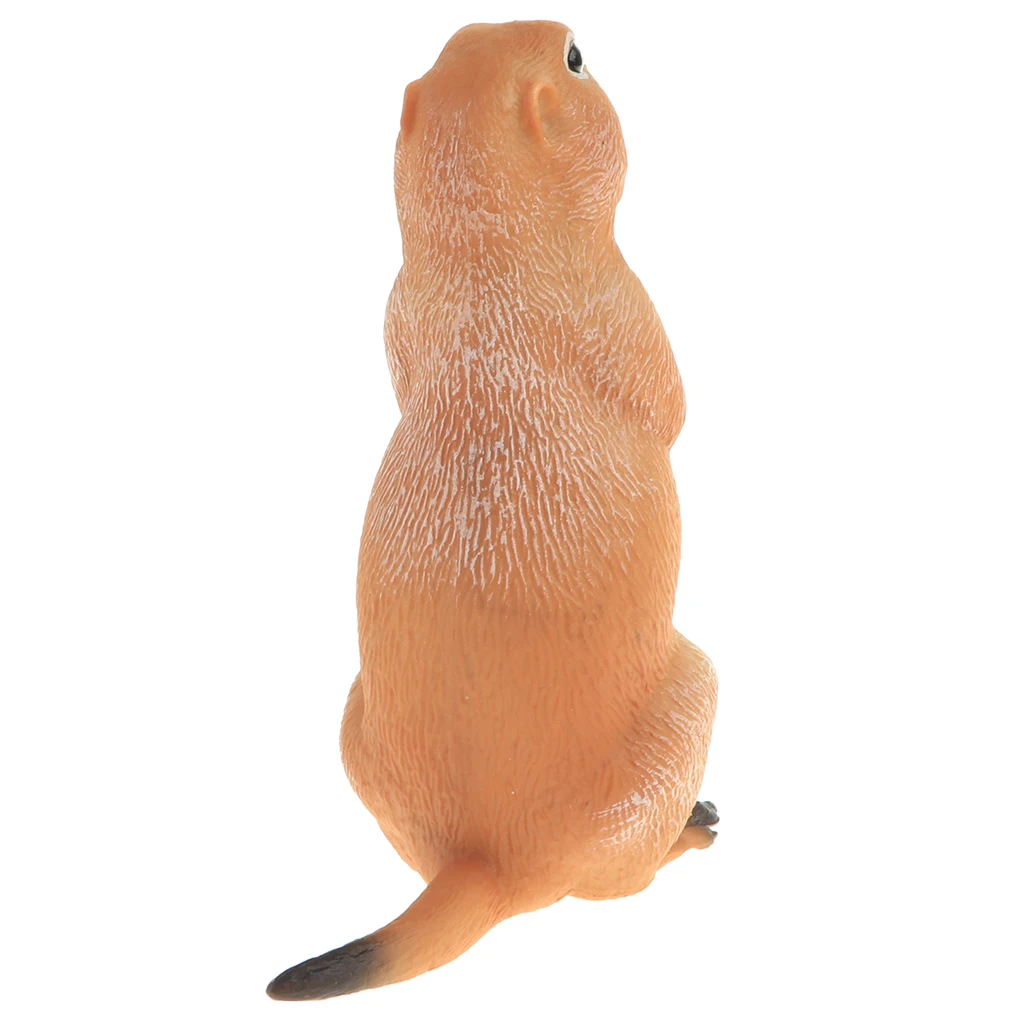 2pcs Simulation Wildlife Animal Model Figurine Kids Science & Nature Toy Collection Home Decoration Party Favors- Marmot