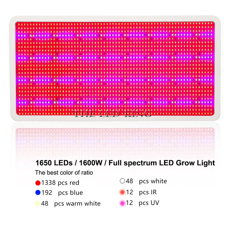 1600W (3)