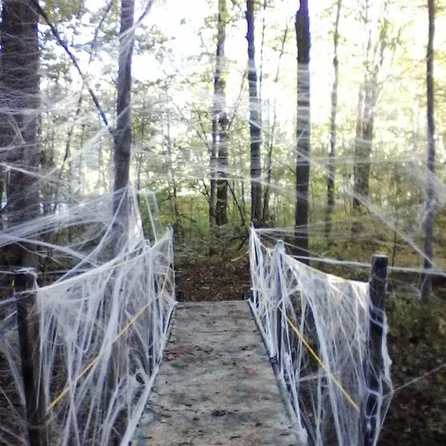 Buy-3-bags-get-1-free-Halloween-Strechable-Spider-Web-40g-with-Spiders-White-Webbing-for.jpg_640x640