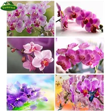 YUMEART DIY, алмазная вышивка, Орхидея, цветы, фото на заказ розовая Цветочная алмазная живопись, вышивка крестом, наборы, Алмазная мозаика, изображения
