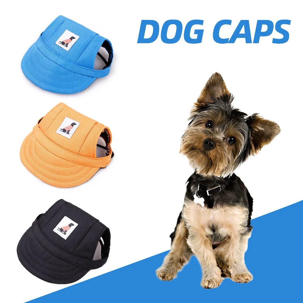 Pet sport. Dog cap. Dog in cap.