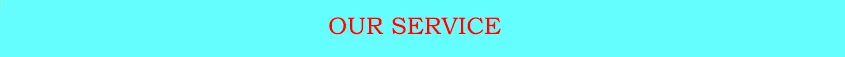 OUR SERVICE.jpg