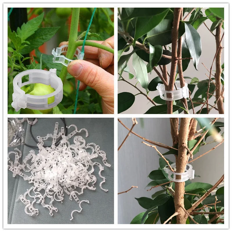 

10Pcs Hami Melon Clip Plastic Vine Binding Clip Branch Garden Plant Support Hanging Vine Fixing Clip Easy Use Agriculture Tools