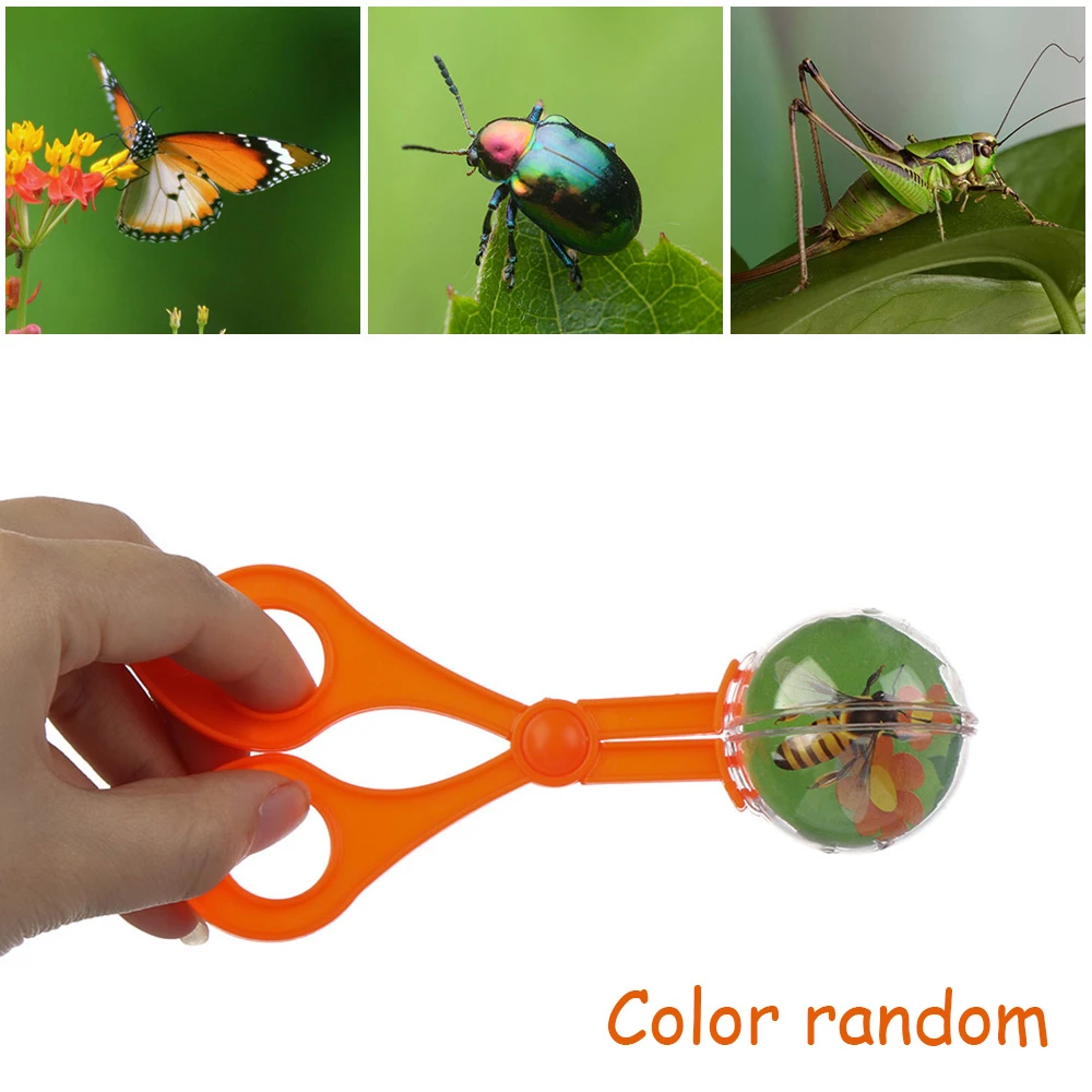 flying bug toy