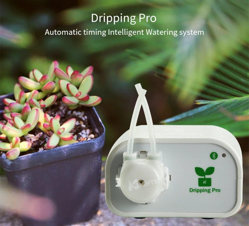 Dripping-Pro_01