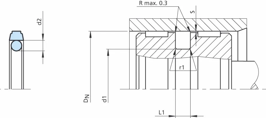 pt110an Turcon Glyd Ring