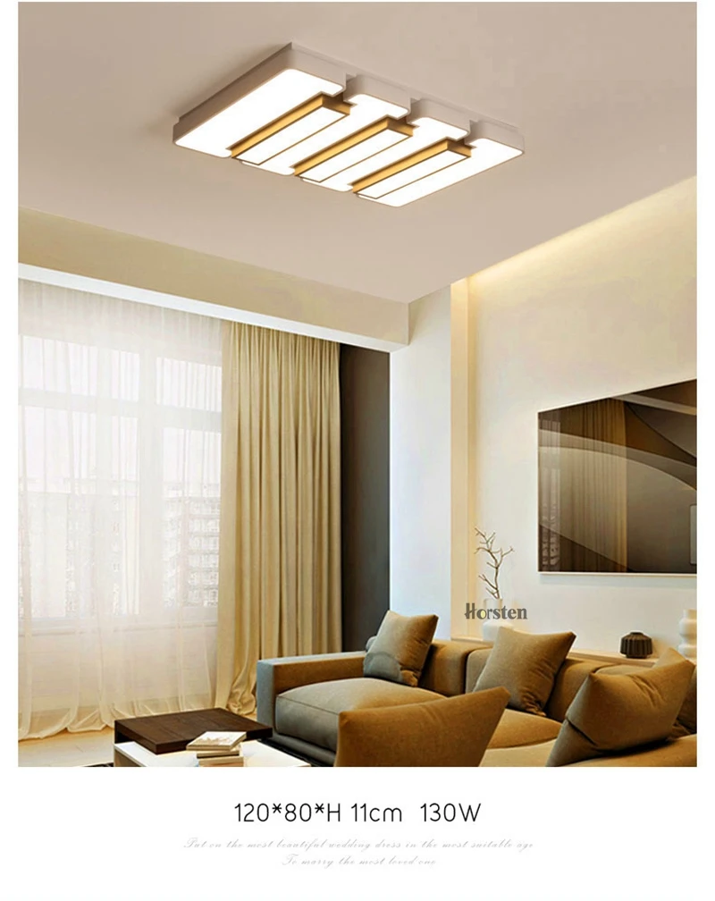 Creative Modern Ceiling Lights Black and White Iron Acrylic Ceiling Lamp For Living Room Bedroom Remote Control Lighting Fixtures (6)